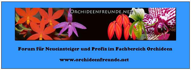 www.Orchideenfreunde.net