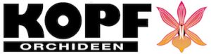 Kopf Orchideen (Online Shop)