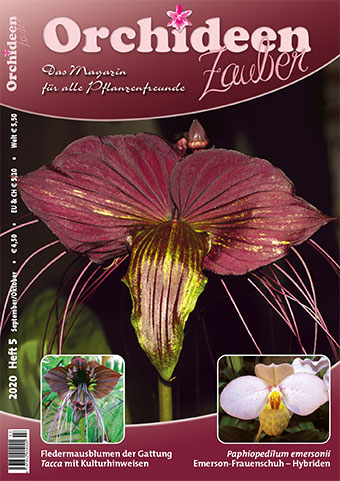 "Orchideen Zauber" Issue 5/2020