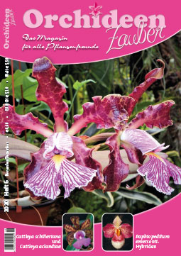 OrchideenZauber 2020-6